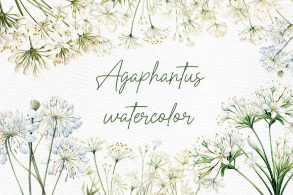 Elegant White Wild Flowers Clipart: A Watercolor Design Essential