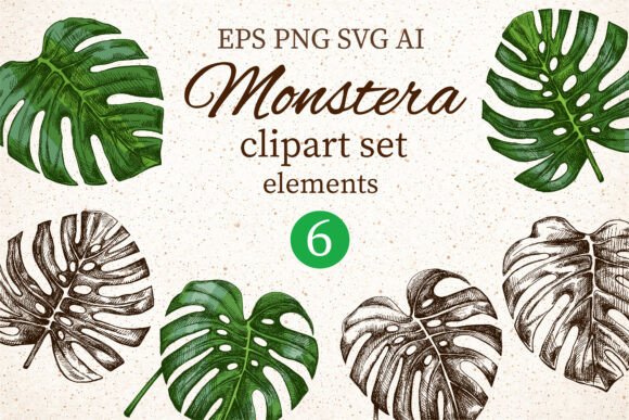 Monstera Clipart Set Elements: A Designer's Tropical Toolkit