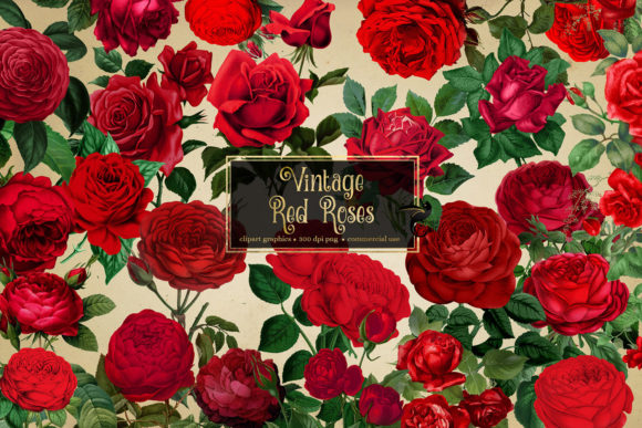 Timeless Romance: Using Vintage Red Roses in Your Designs