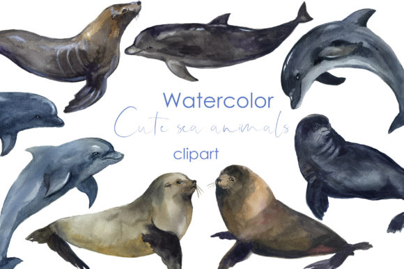 Watercolor Sea Animals Clipart: Dolphins, Seals & Whimsical Designs